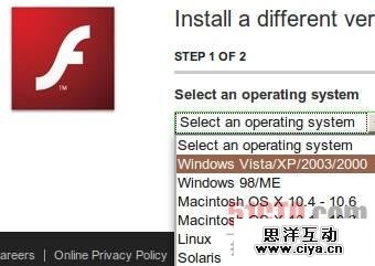 版本众多的Flash