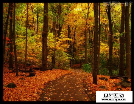 曲径通幽处 用核心路径法进行页面设计,互联网的一些事
