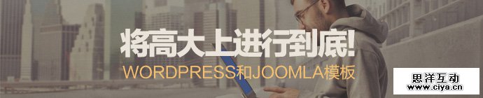 wordpress-theme-1