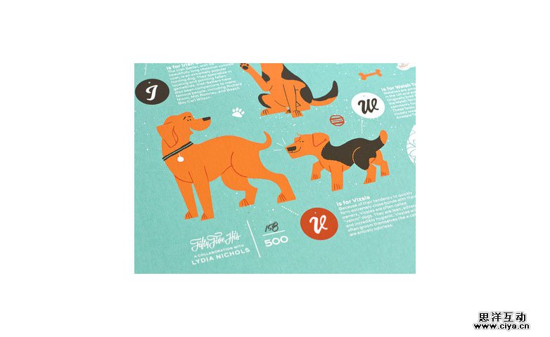 dribbble_004