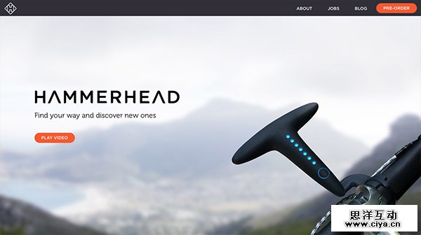 Hammerhead