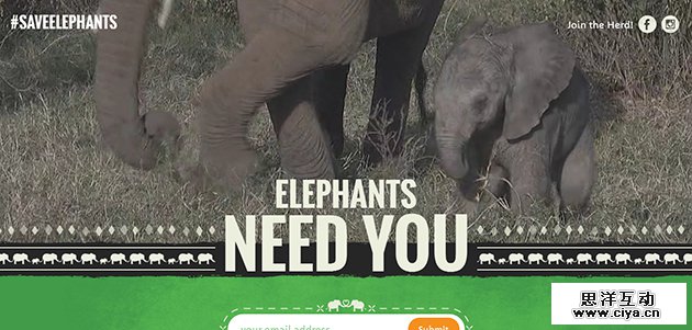 elephants