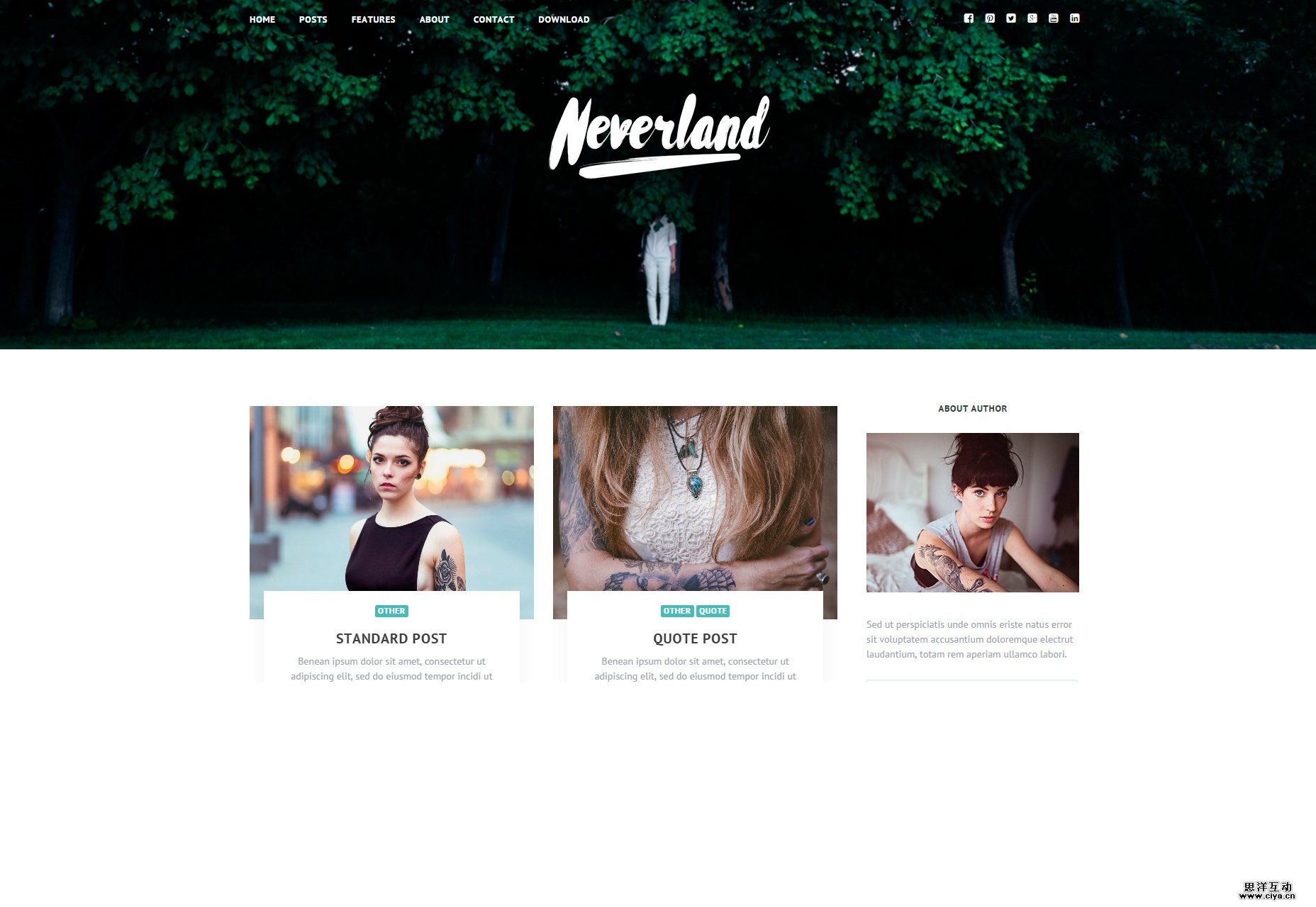 neverland-free-personal-blog-wordpress-theme