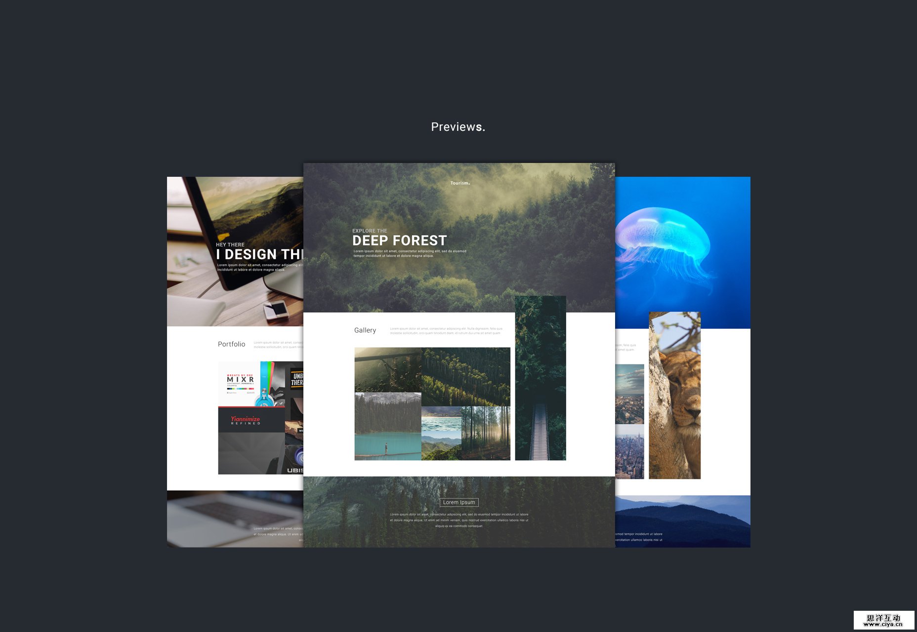 webby-photo-featured-website-psd-template