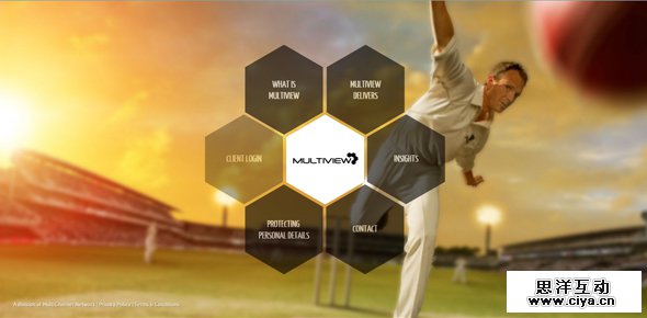 Multiview Website Designs Using Hexagons