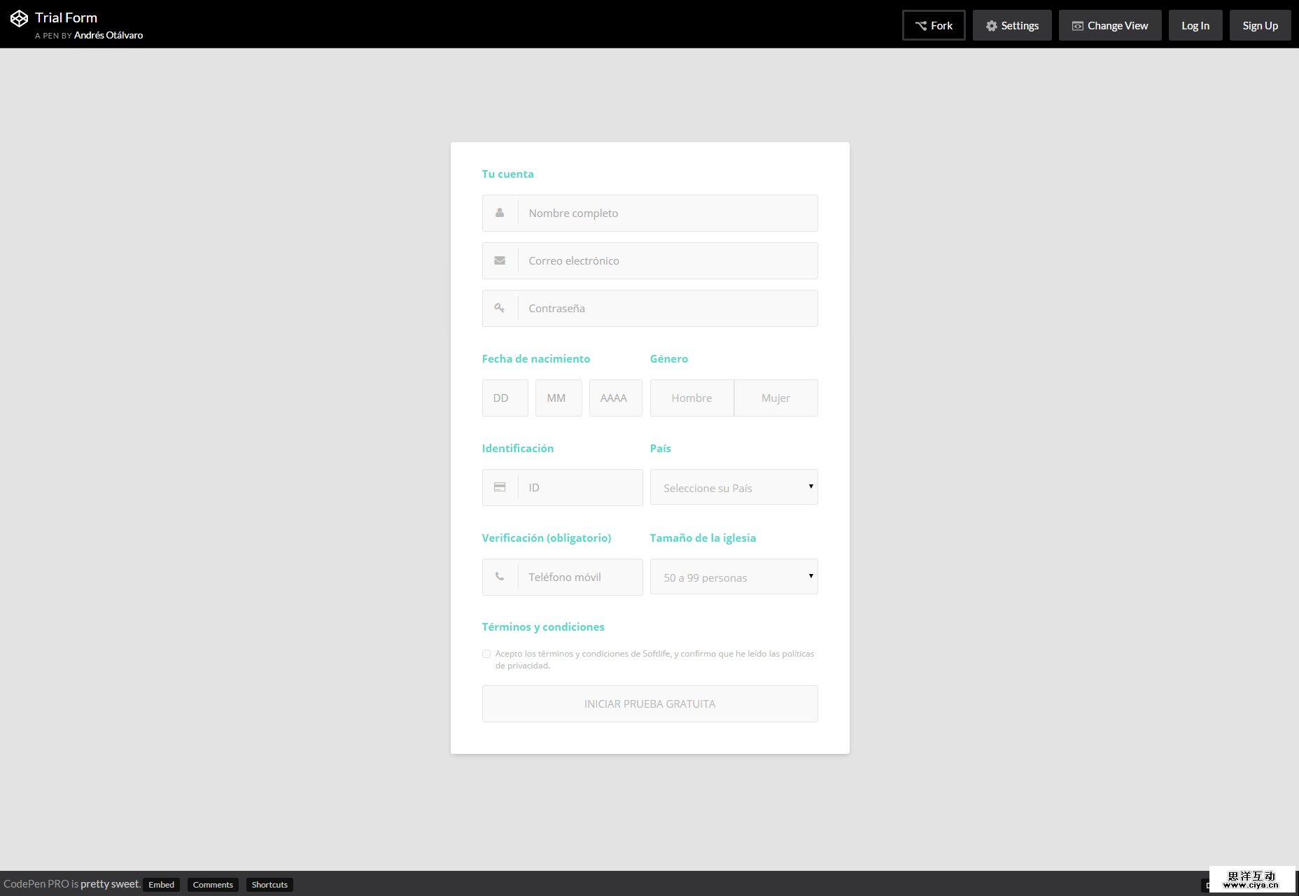 trial-form-nice-css-form-template