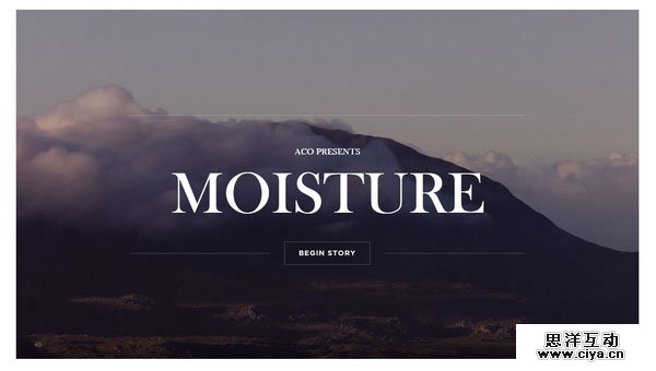 6-Moisture