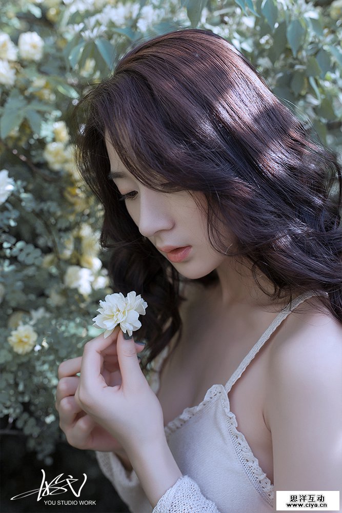 查看《【有映画】花匿 》原图，原图尺寸：667x1000