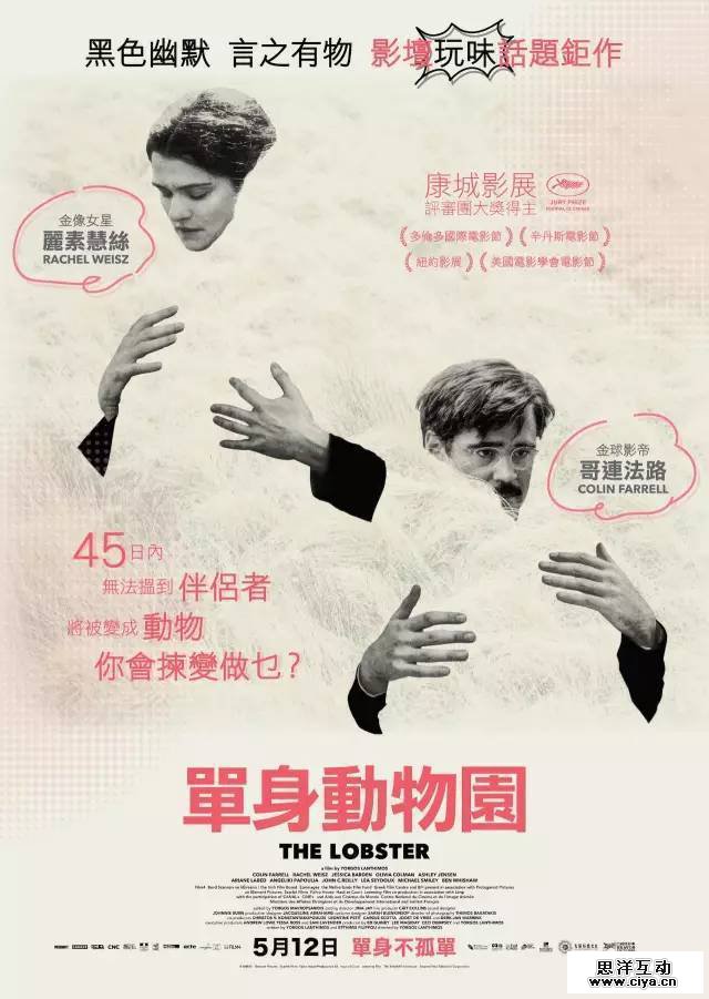 1495299667-4033-2502701-7ad48418484e3076