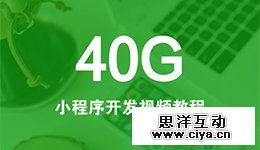 40G小程序开发视频教程，从入门到项目实战