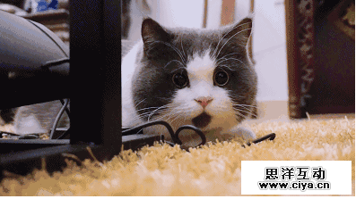 我们研究了748篇10w+，告诉你“汽车号”怎么玩标题？