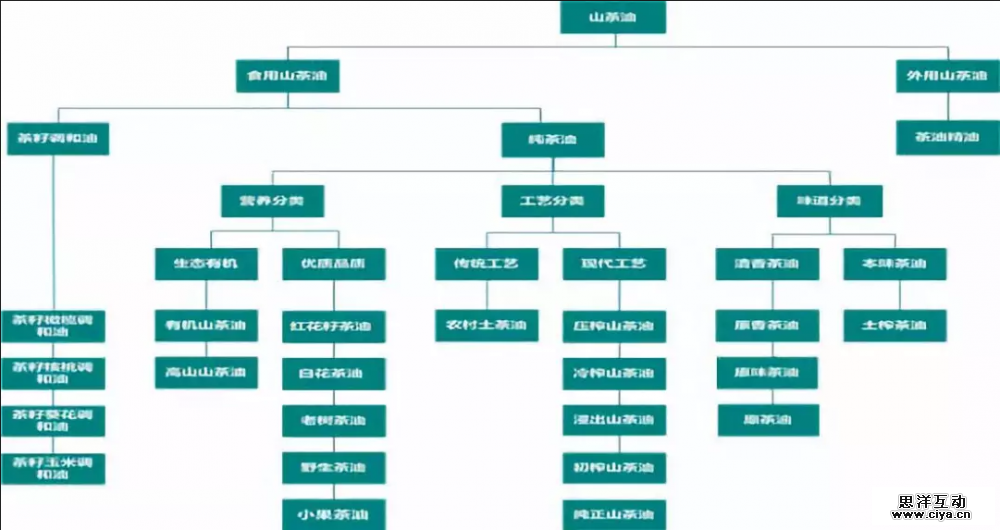 实战演示：如何进行品牌定位？