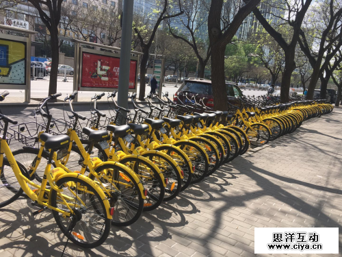 一个月撤离7个国家 ofo海外退烧不只是因为水土不服